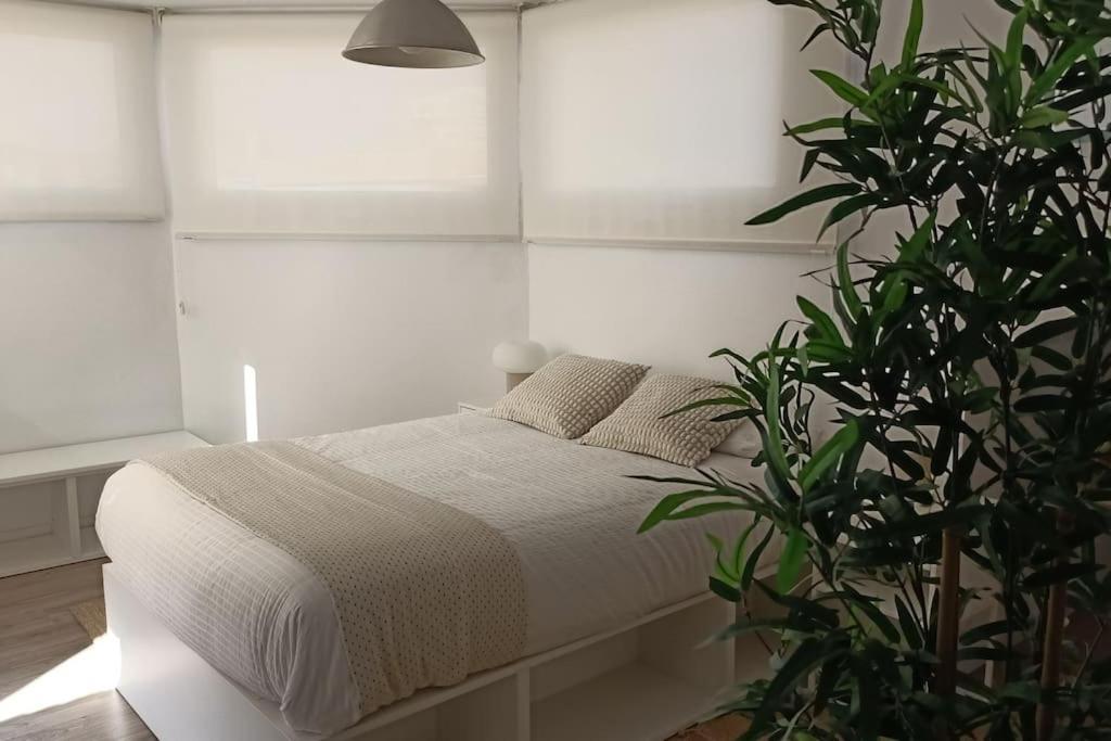 Salitre Malaga Center Daire Dış mekan fotoğraf